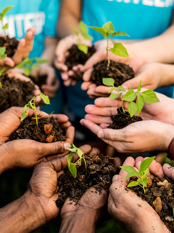 Sustentabilidade e Impacto Social